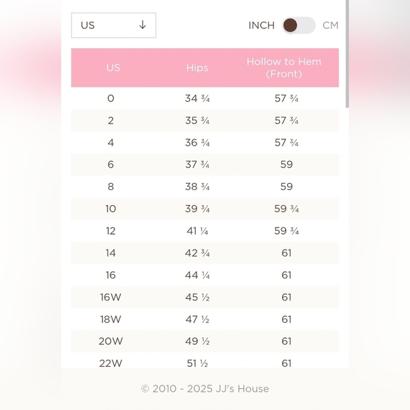 NWT JJ's House Black A-Line V-neck Chiffon Ruffle Dress Zip Womens Size 22 - Picture 13 of 13